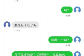 田林企业清欠服务